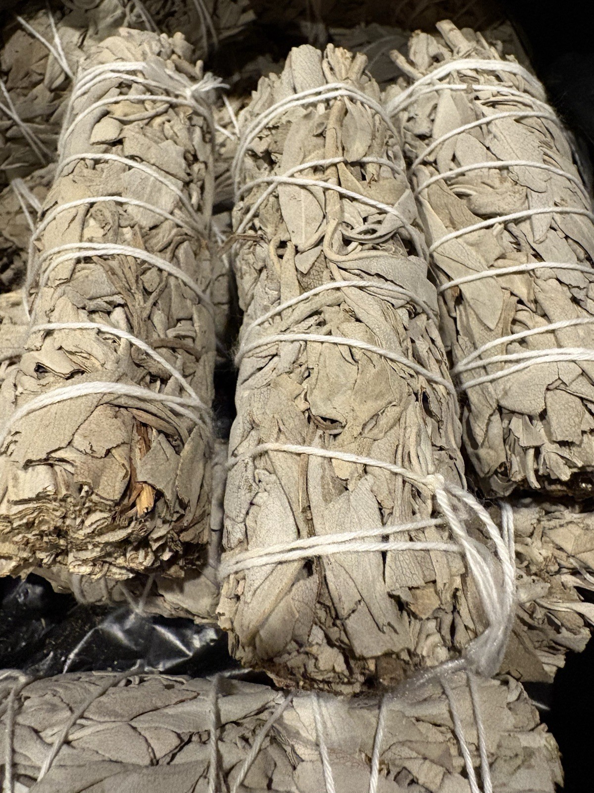 Mexican Sage 1 count For Cleansing and Aroma