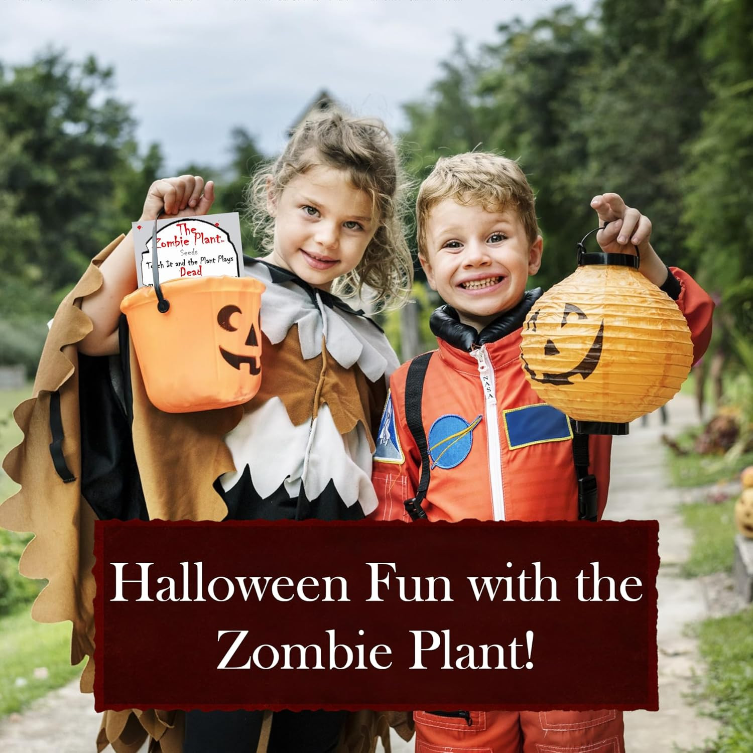 Zombie Plant Seed Packets – Grow a Live Sensitive Plant That Plays Dead When Tou