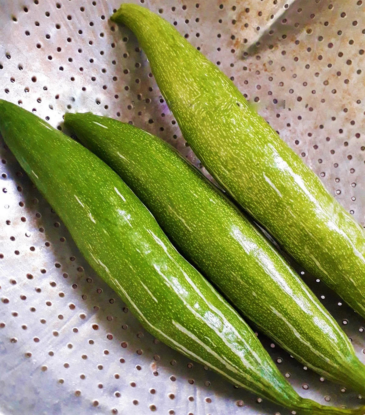 Buag Ngu Snake Gourd |Chichinda Padwal Green Bitter Melon Luffa Squash Seed 2024