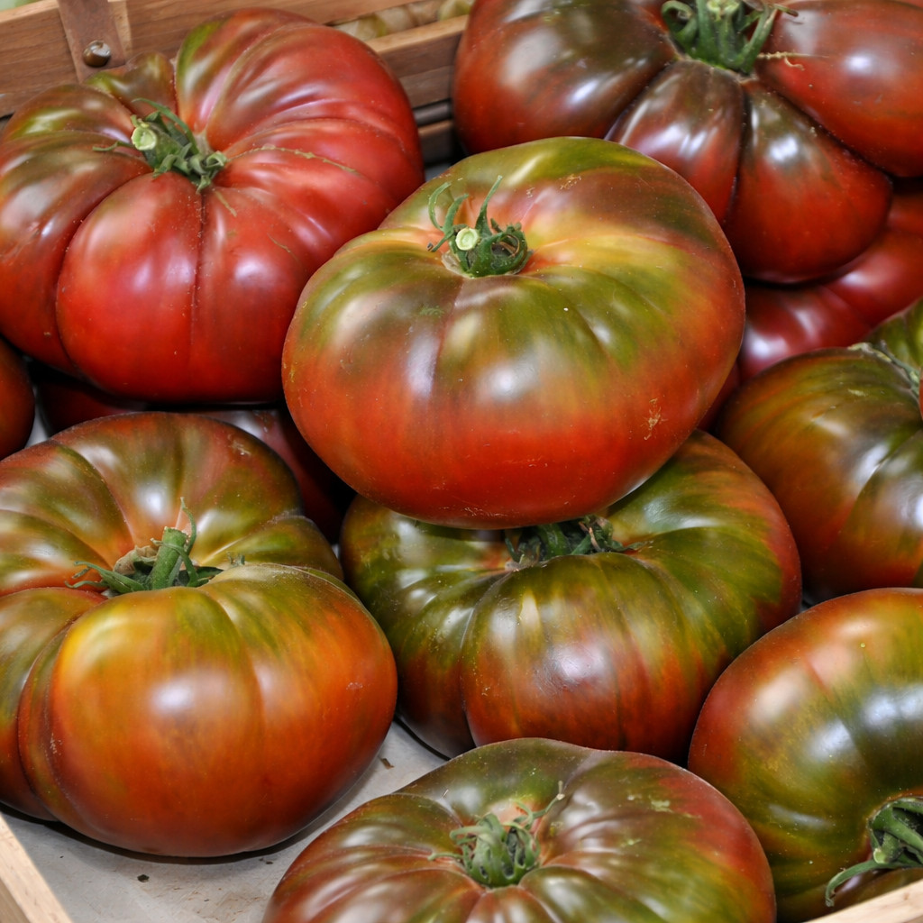 150 Heirloom Black Brandywine Tomato Seeds – Sweet Smokey Low Acid Indeterminate