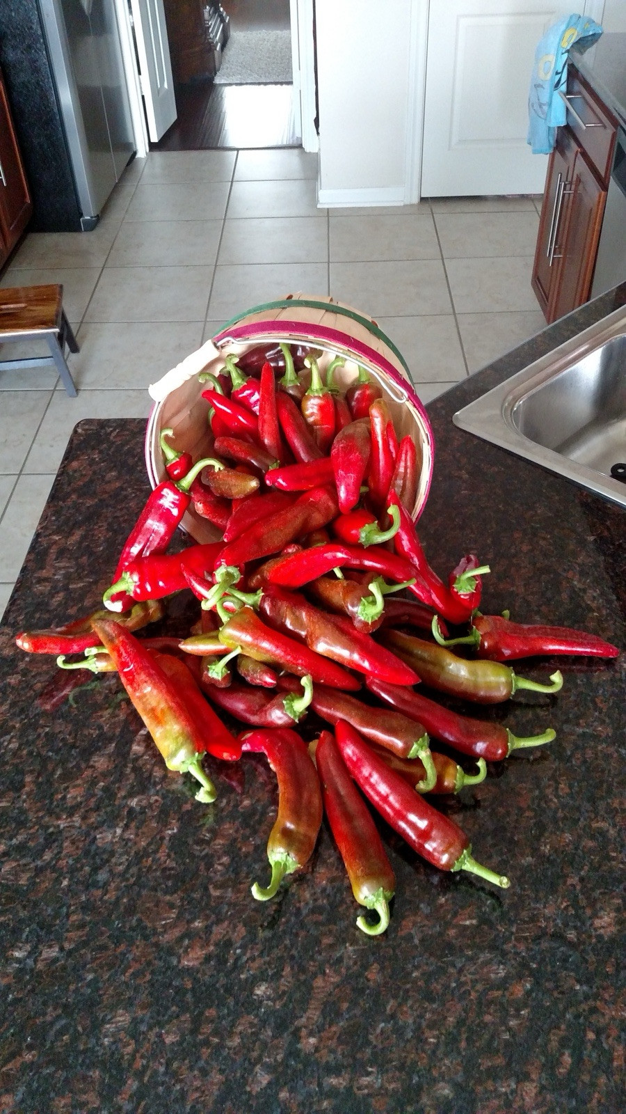 Hatch Sandia Chili Pepper Seeds, NuMex, Hot Green Chile, Ristra, FREE SHIPPING