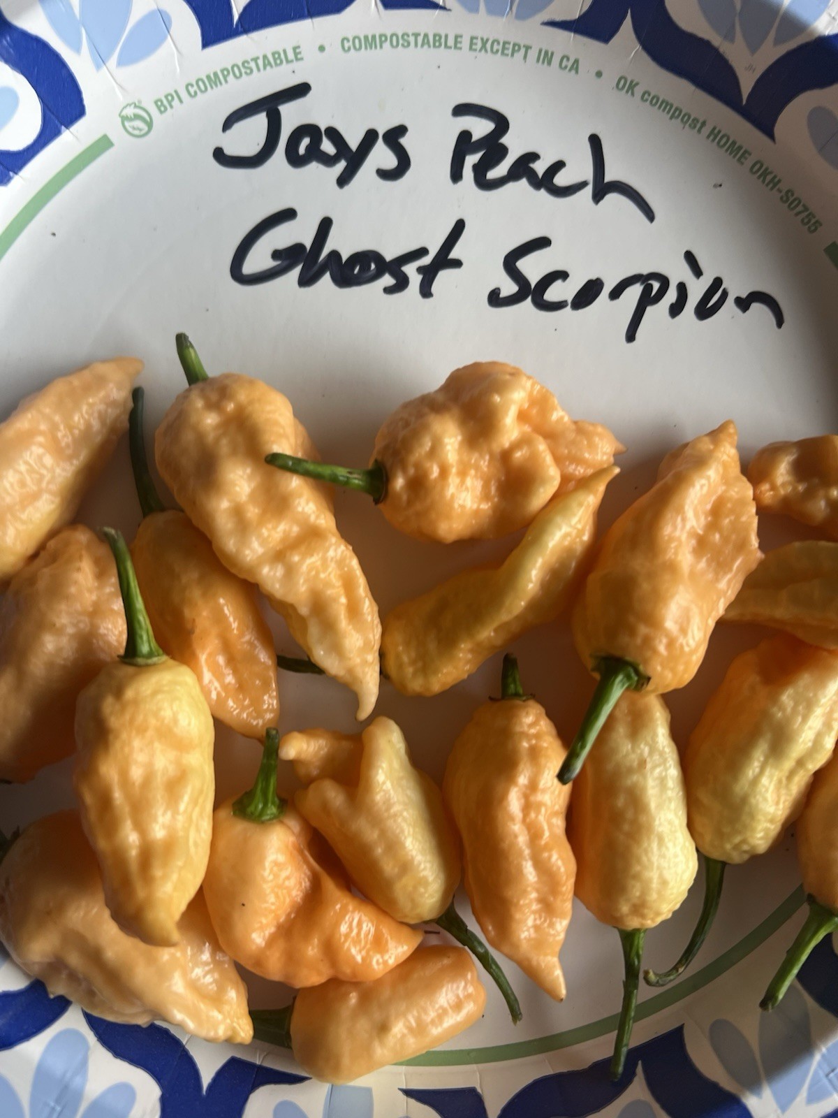 Jay’s Peach Ghost Scorpion Hot Pepper Seeds 15+ Per Pack