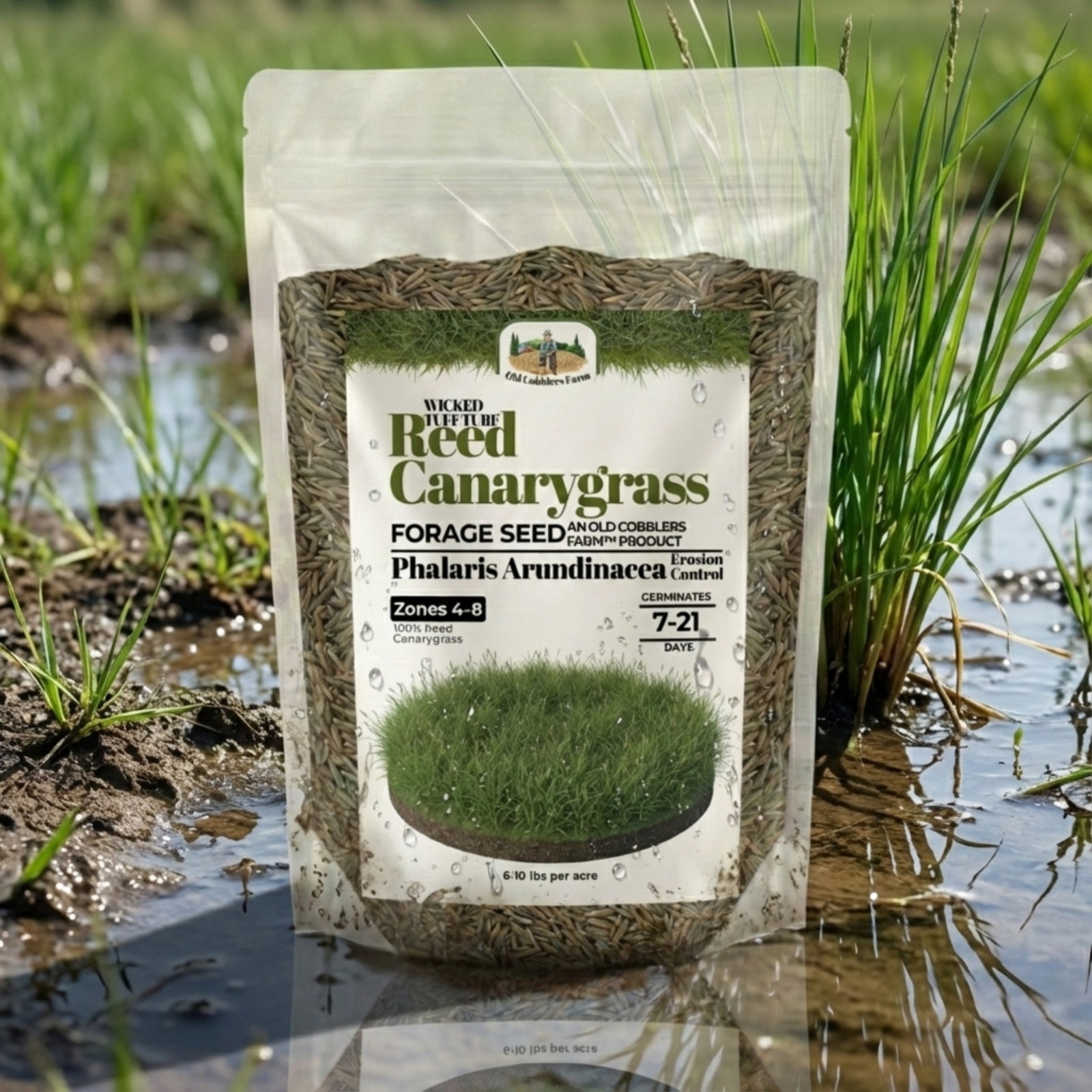 Old Cobblers Farm™ Wicked Tuff Turf Reed Canarygrass – Wetland & Erosion Control