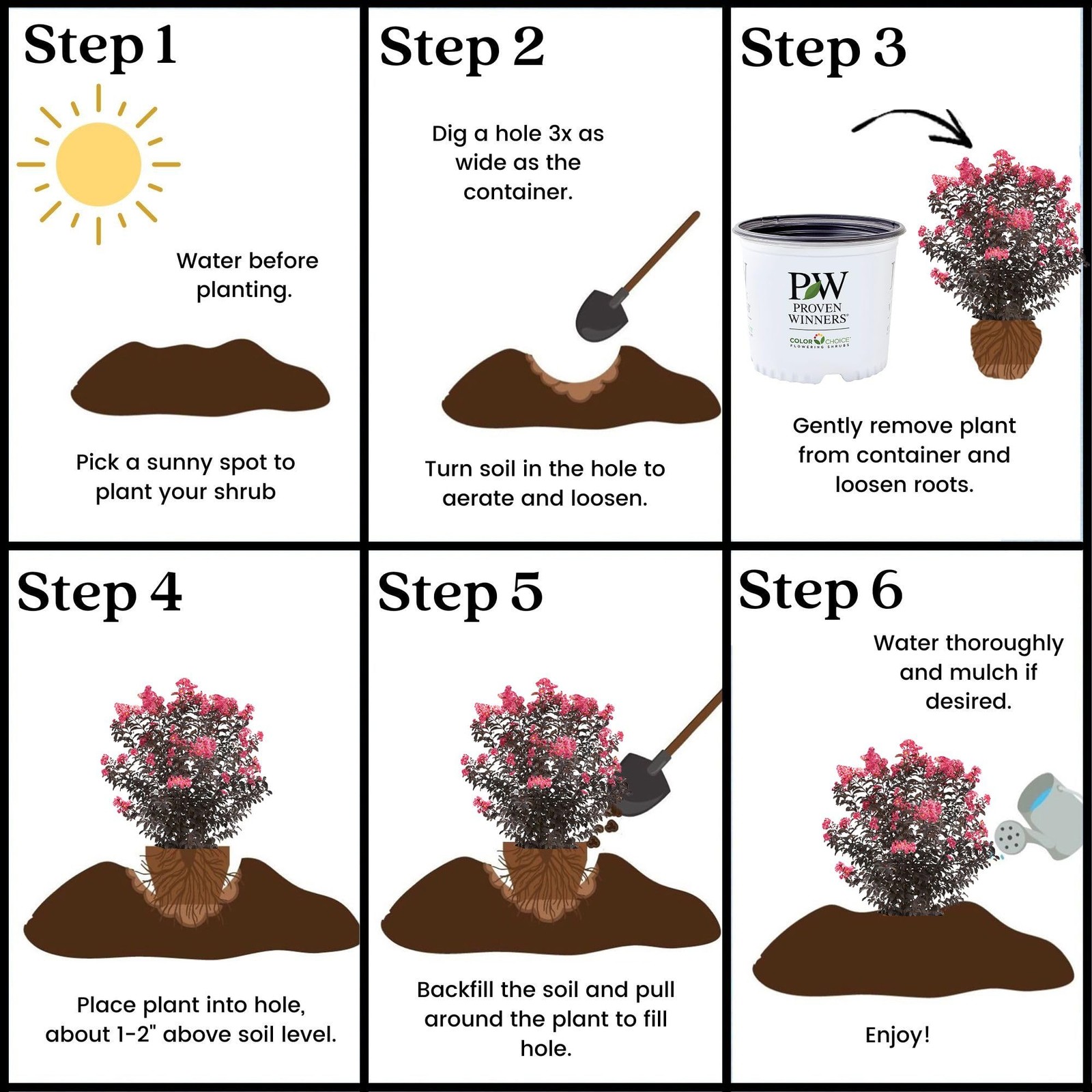 Coral Crape Myrtle Shrub 2 Gal. Center Stage for Vibrant Landscape Growth