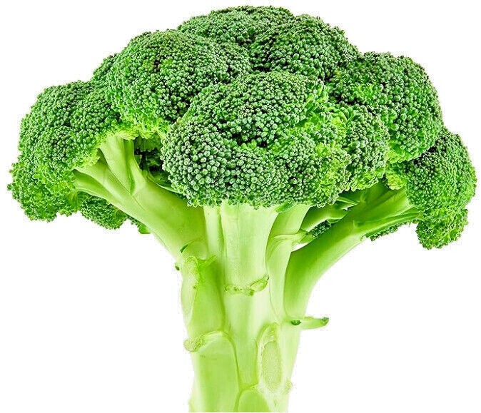 Broccoli Seeds (WALTHAM) Non-GMO Buy 2 Get 2 Free