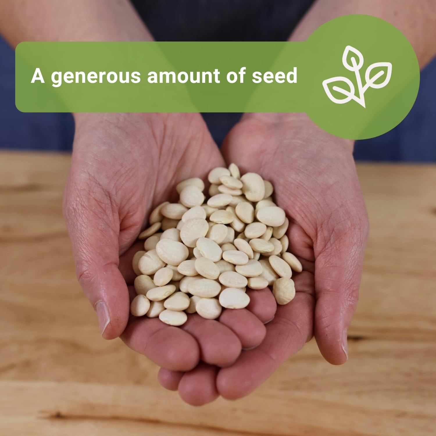 Bulk Bush Lima Bean Seeds NonGMO Heirloom for Vegetable Garden Planting