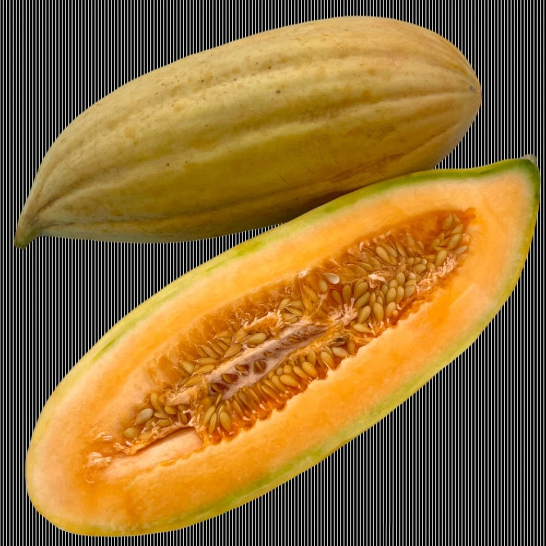 25+ Banana Melon Seeds, Banana Cantaloupe, FREE SHIPPING USA Seller