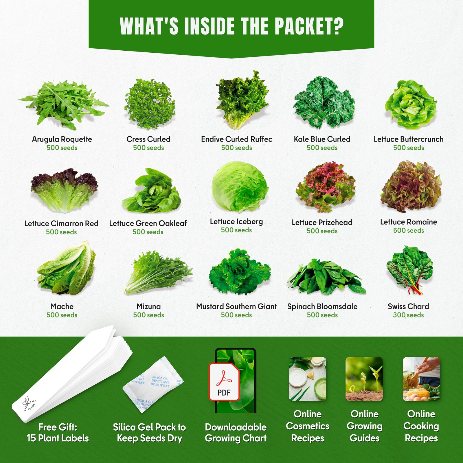 Diverse Salad Greens Seed Pack – Spinach, Kale, Arugula, Romaine, 7300+ NonGMO