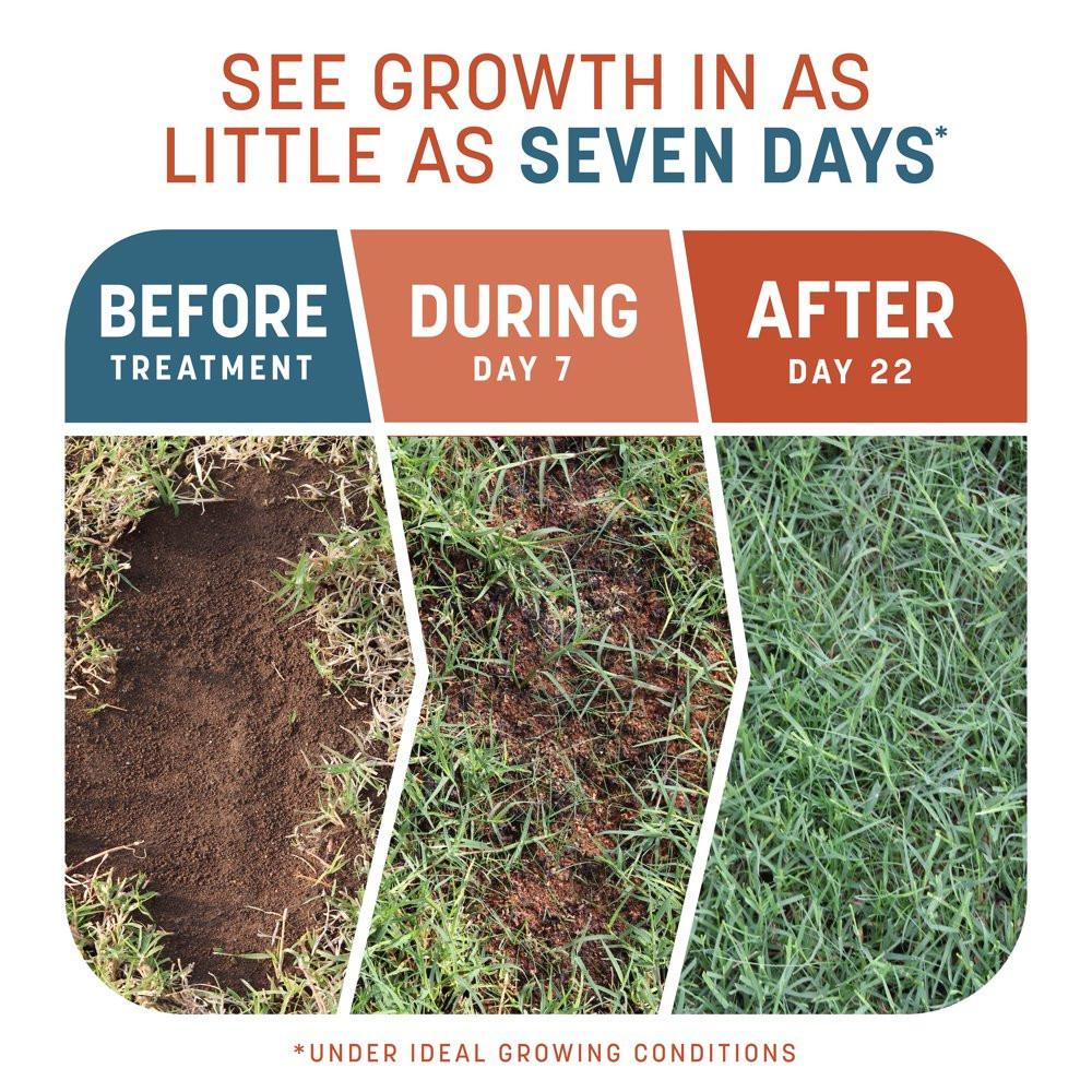 PENNINGTON GRASS SEED Smart Patch Bermuda Mix for Full Sun