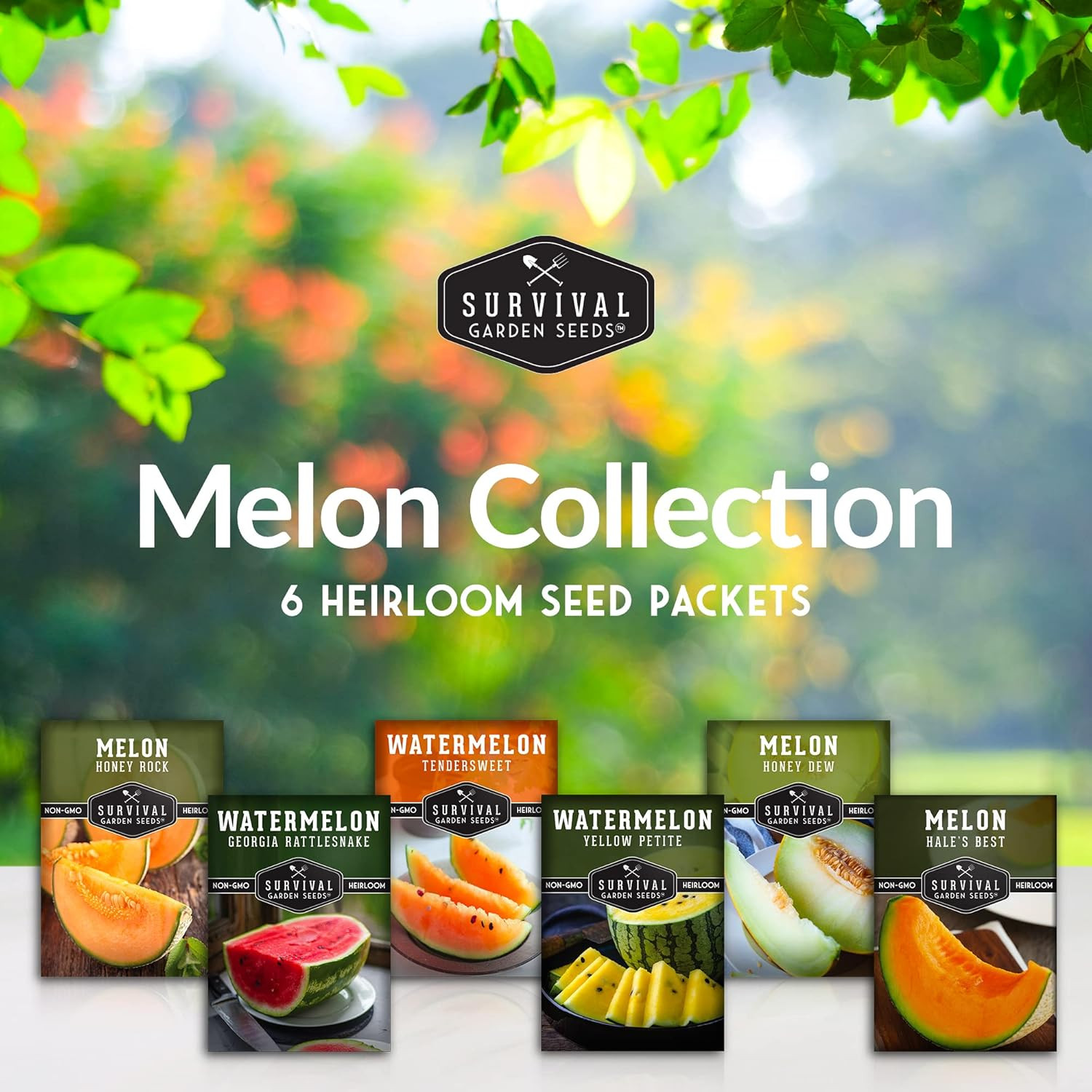 Melon Seeds Variety Pack – 6 Heirloom Cantaloupe, Honeydew & Watermelon Types fo