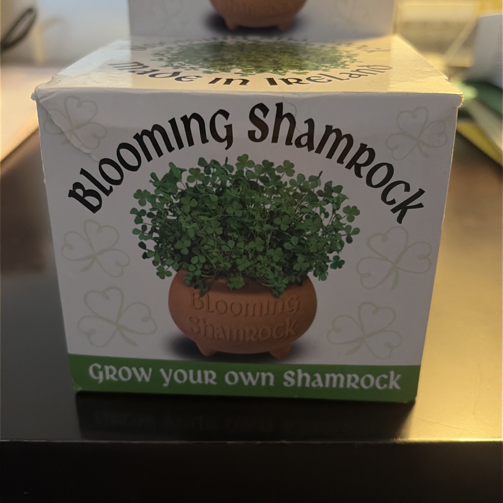 The Blooming Shamrock Pot – Grow your own Irish Shamrock