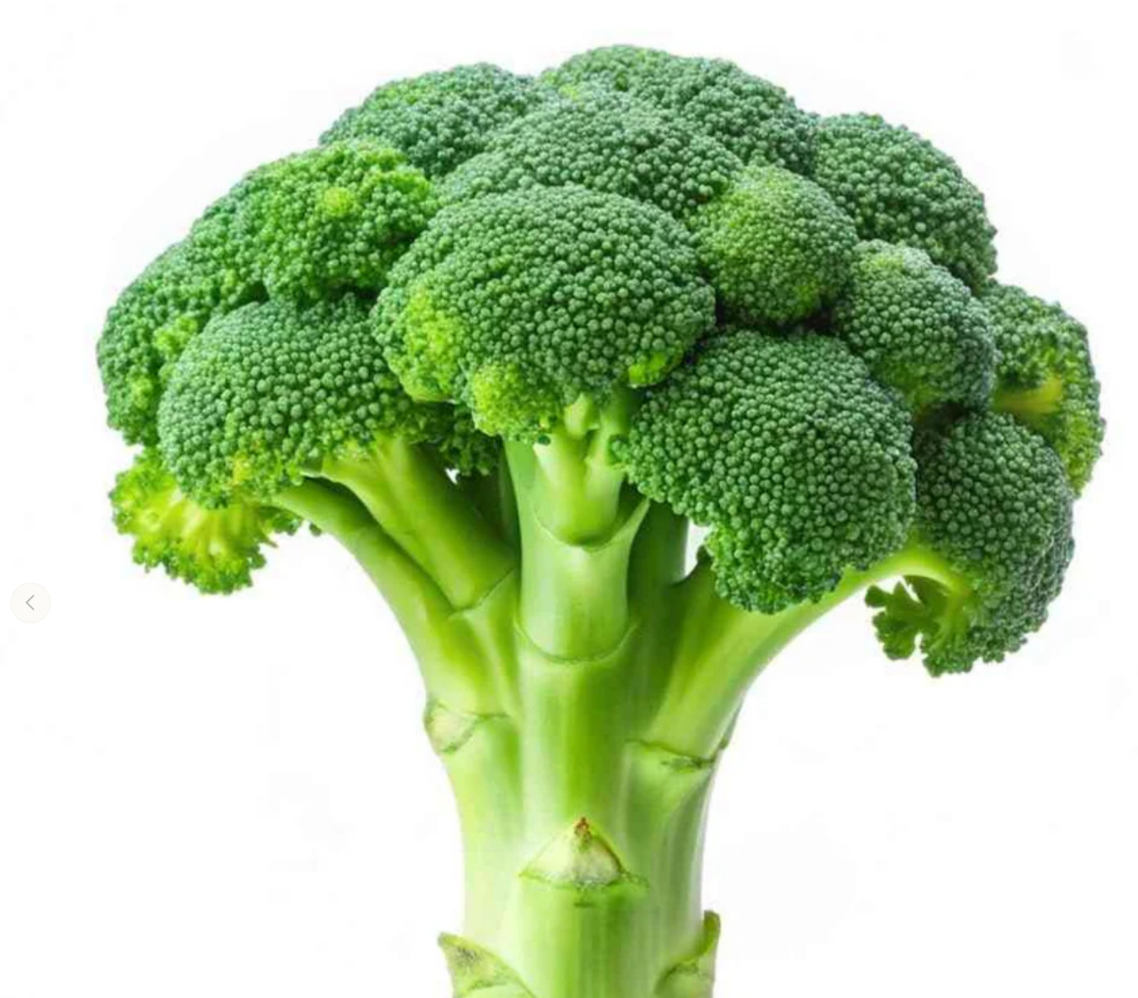800+ Broccoli Seeds – Waltham 29