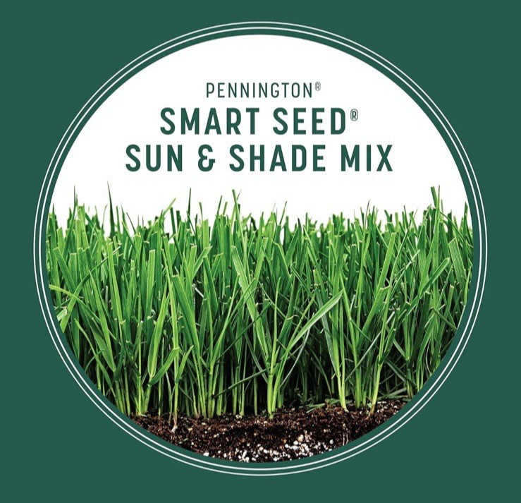 Grass Seed Blend 3 lb Drought Resistant Ideal for Sun and Shade Lawns