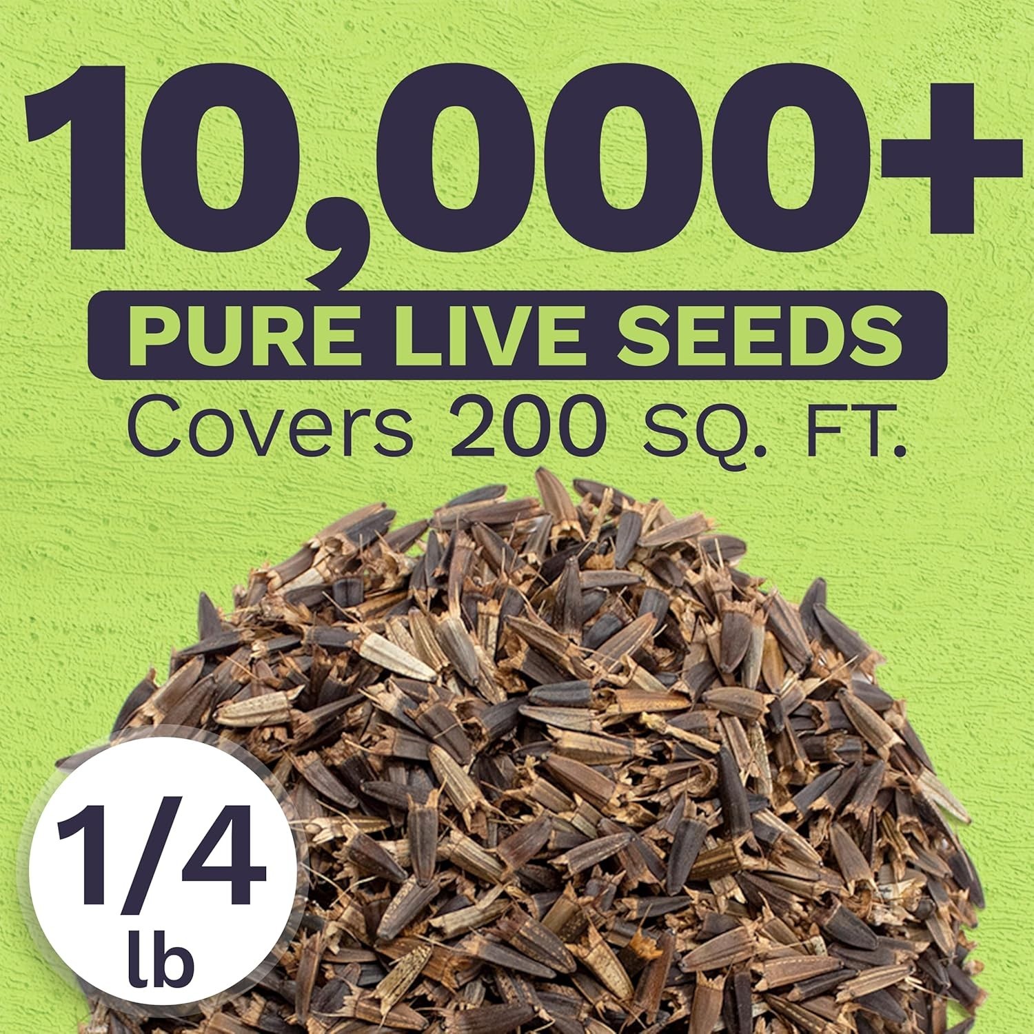 Bulk Mexican Sunflower Seeds 10,000+ Open Pollinated Non-GMO Tithonia rotundi…