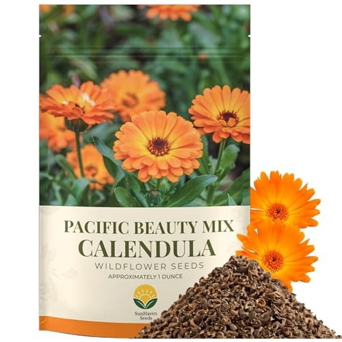 Calendula Seeds Pacific Beauty Mix – 3,000+ Seeds – 1 oz Bulk Extra Large