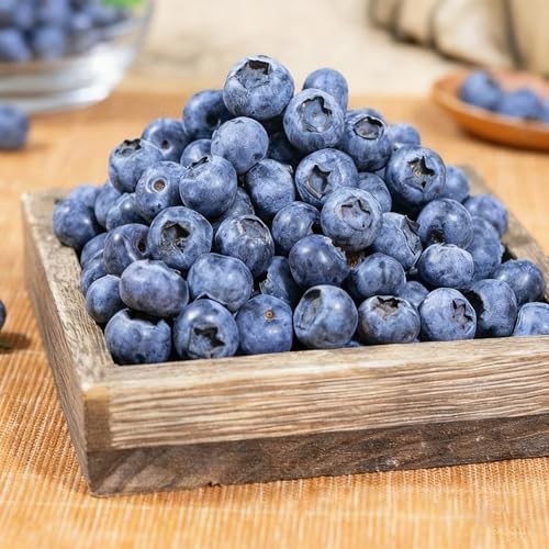 1500+ Mixed Fruit Tree Seeds – 6 Varieties: Strawberry, Blueberry, Raspberry, Mu
