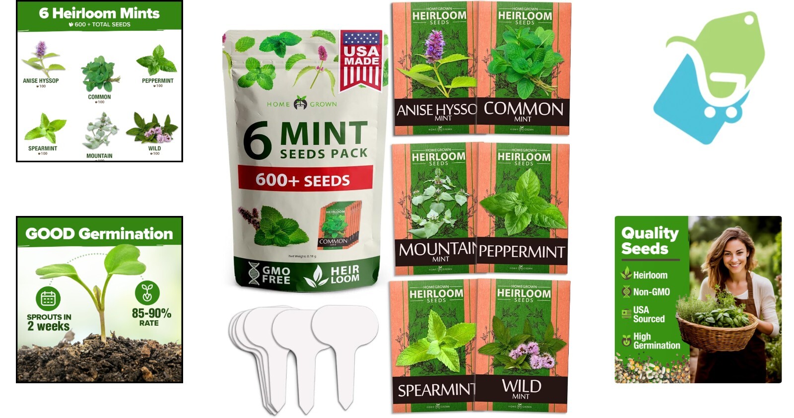 Heirloom Mint Seeds Variety Pack – Perfect for Your Indoors and Outdoors Garden