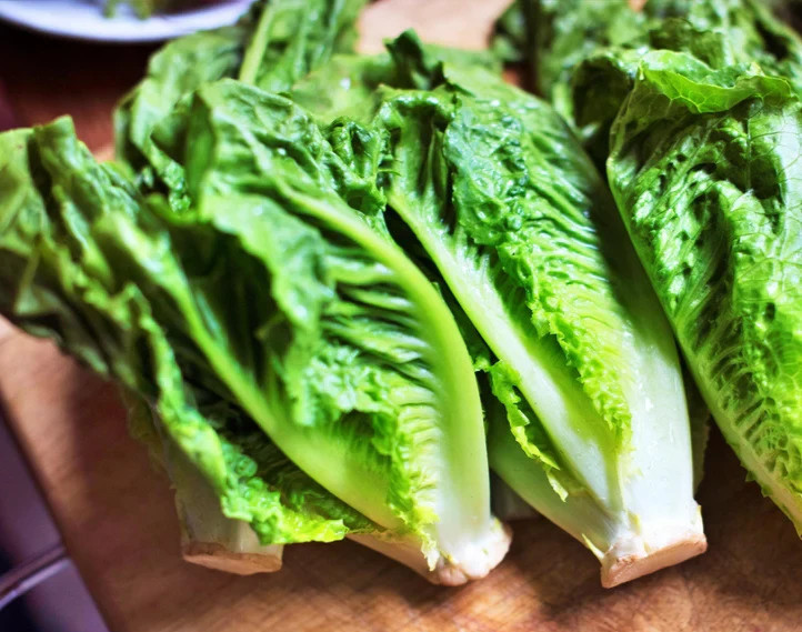 Giant Ceasar Romaine Lettuce Seeds (100) / EASY / FAST GROWING / FLORIDA