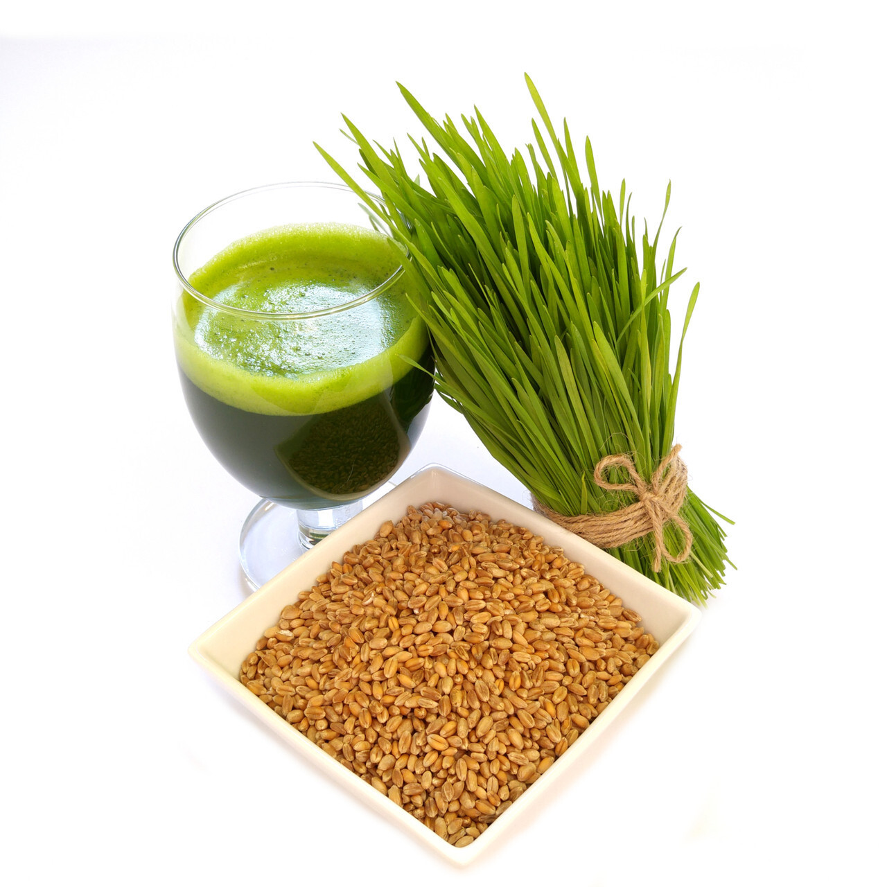 [ WHOLESALE ] Wheat Grass Seed- Guaranteed to Grow, Pets Friendly (USDA Organic)