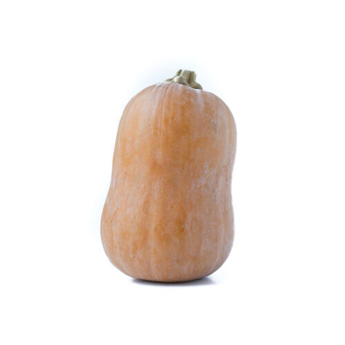 25+ Honeynut Squash Seeds for Garden Planting – USA – FREE SHIPPING!