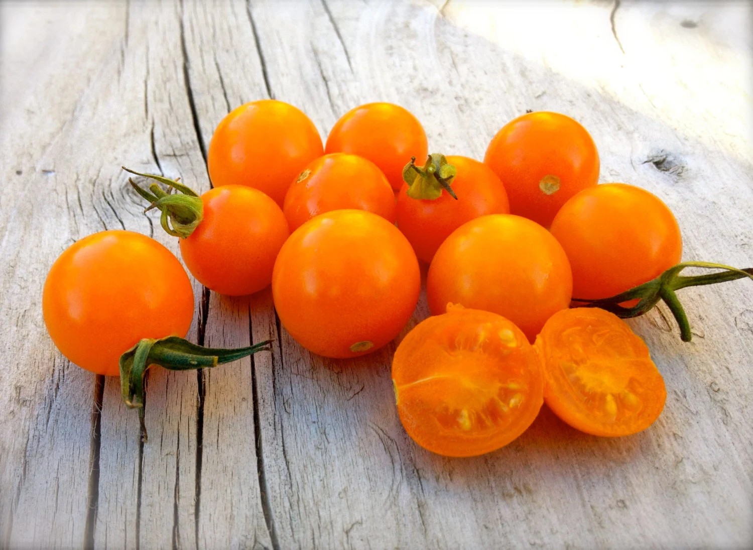 25 Sungold Cherry Tomato Seeds – Free Shipping Organic NonGMO Authentic F1 Seeds
