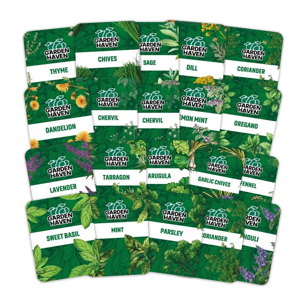 20 HERB Seeds Variety Pack Culinary Herbs Indoor Outdoors Herb Seeds, Basil & mo