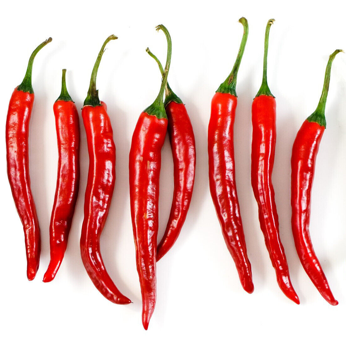SCARBOROUGH SEEDS Cayenne Long Slim Pepper Seeds – 100 Seeds – SAME DAY SHIPPING
