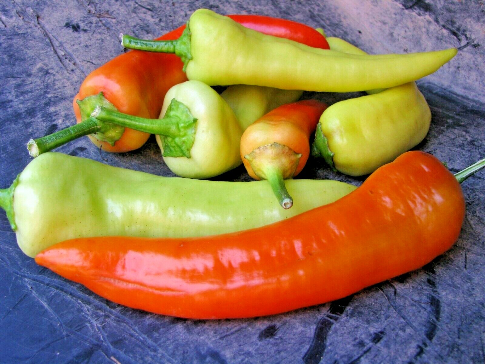 101+Sweet BANANA PEPPER Seeds Organic Vegetable Garden Container Hungarian Easy
