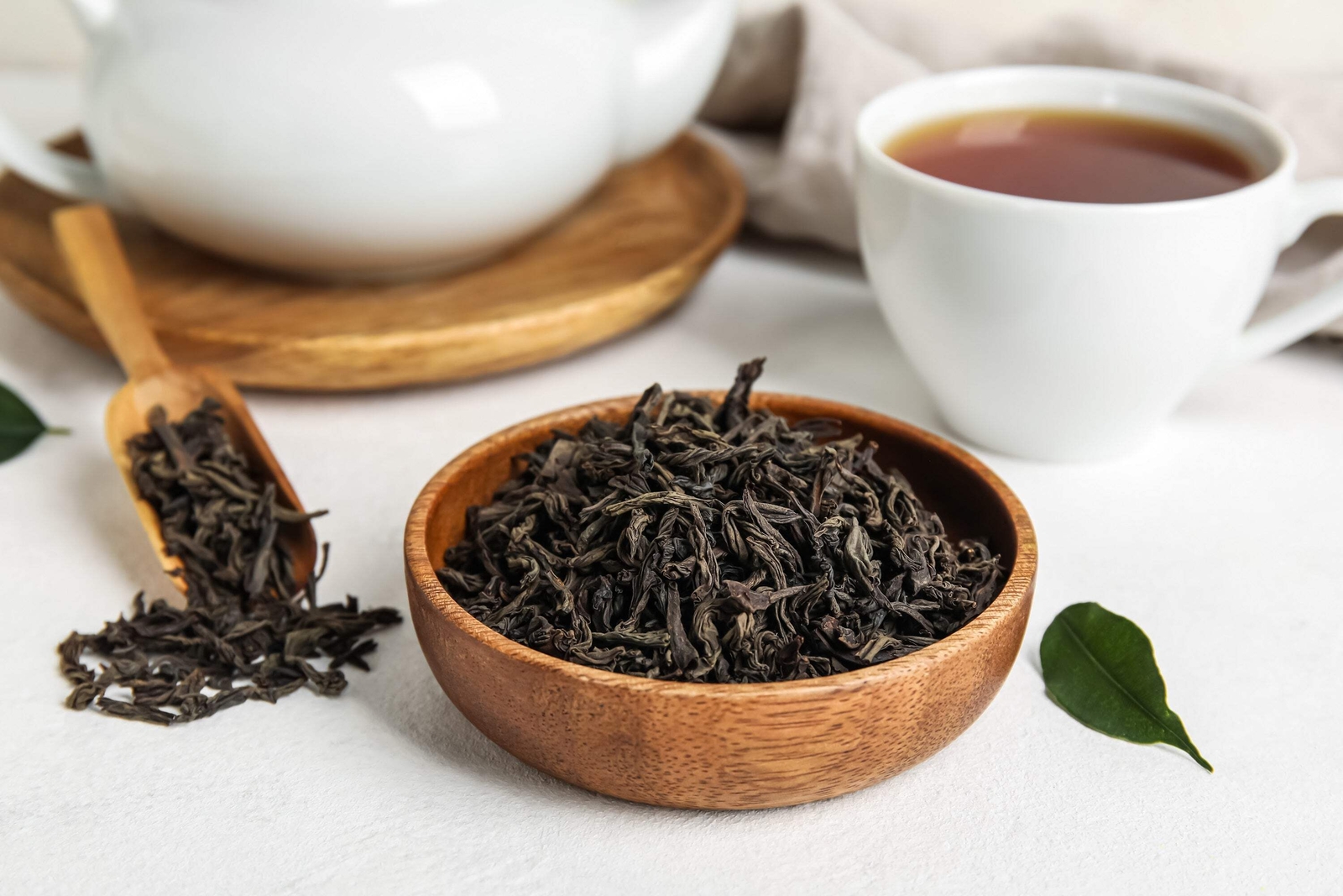 5 TEA PLANT Black & Green Drinking Tea Camellia Sinensis Tree Shrub Flower Seeds