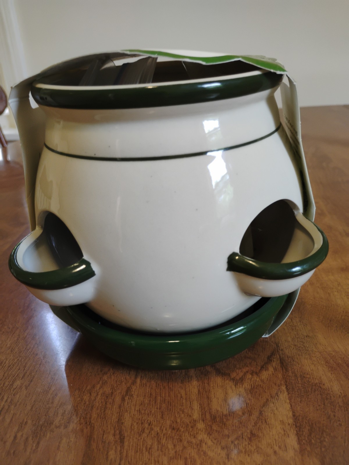 Buzzy Herb Grow Kit Includes Ceramic Planter, Basil, Cilantro, And Parsley…