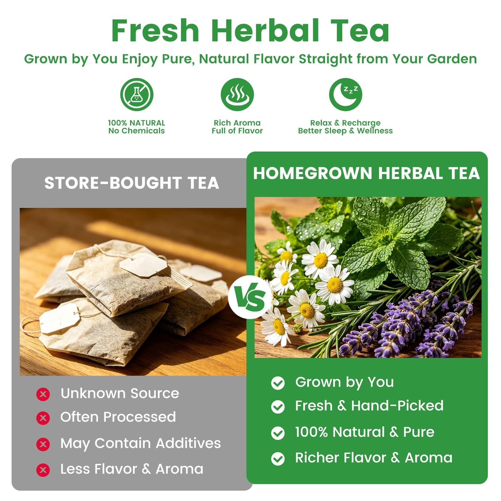 35 Medicinal & Tea Herb Seeds Variety Pack – 16,400+ Non-GMO Heirloom Seeds for