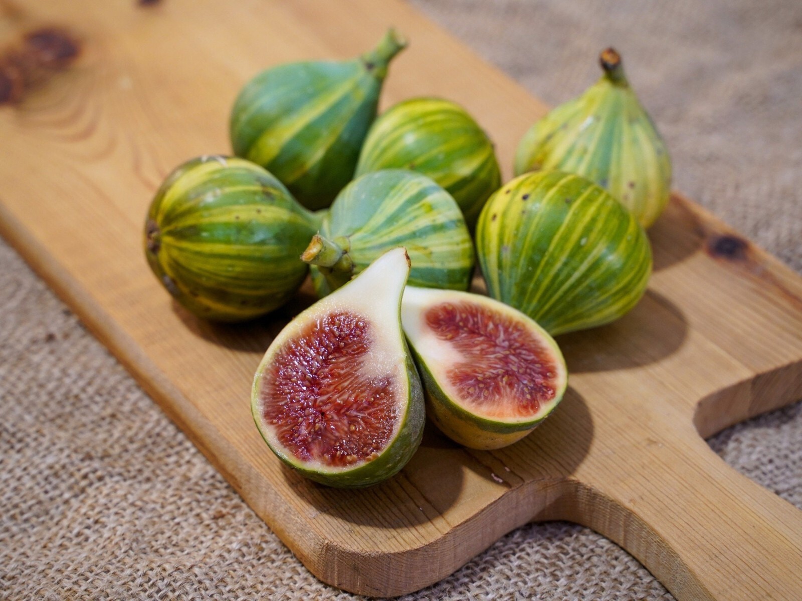 1 liter container Panache Tiger Fig Plant – Ficus carica variegated Sweet