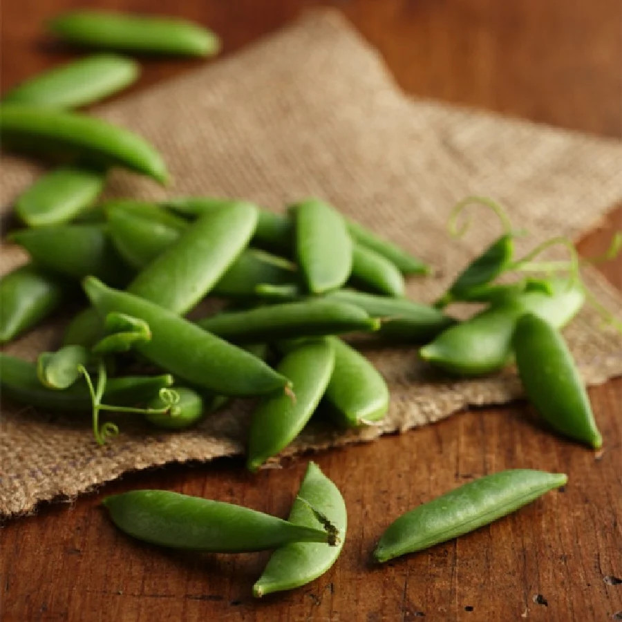 Sugar Ann Snap Pea Seeds | AAS Winner Garden English Field Asian Snow Peas 2024