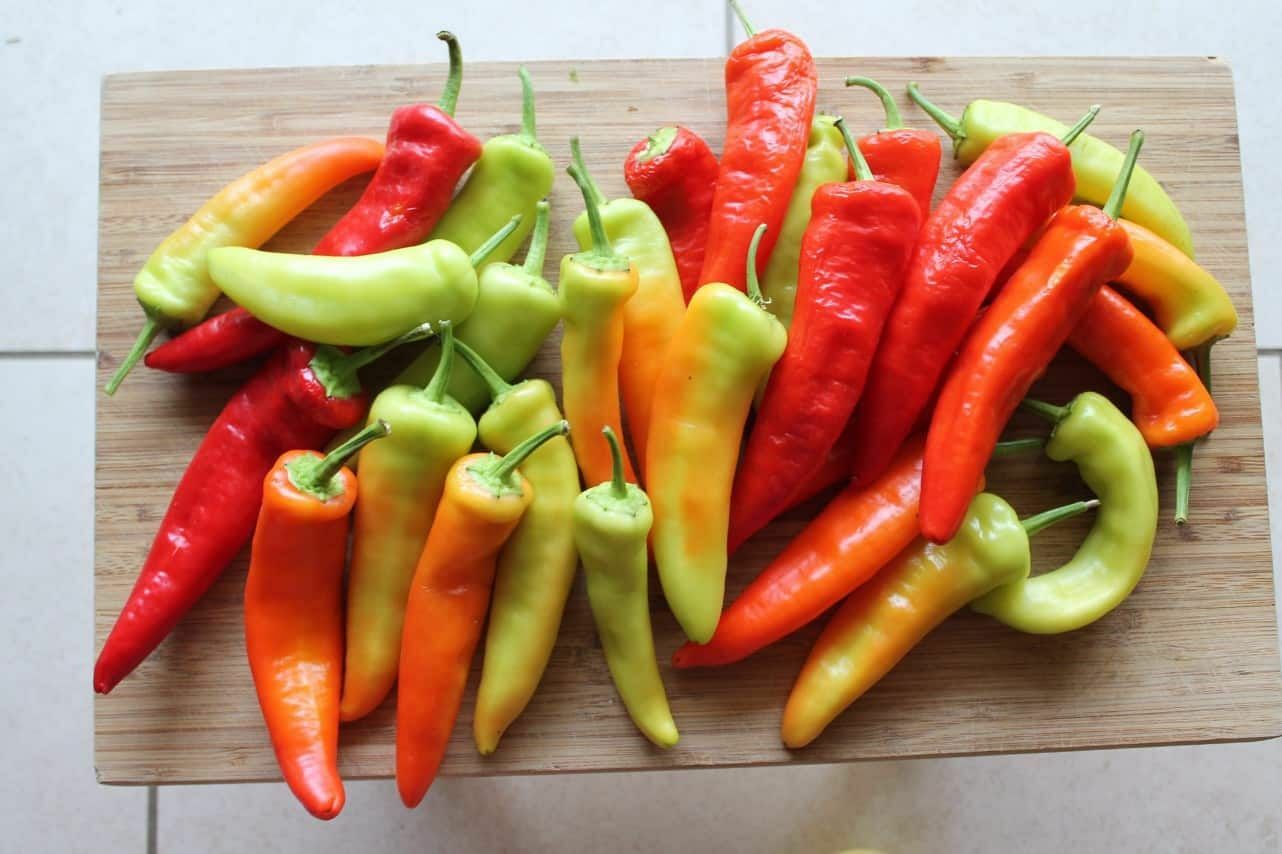101+Sweet BANANA PEPPER Seeds Organic Vegetable Garden Container Hungarian Easy
