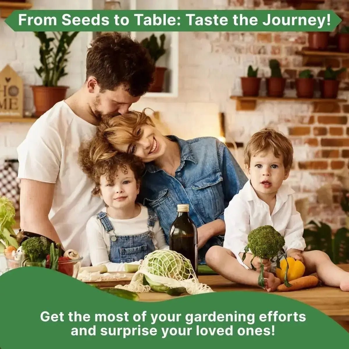 Green Globe Artichoke Seeds Pack 2G