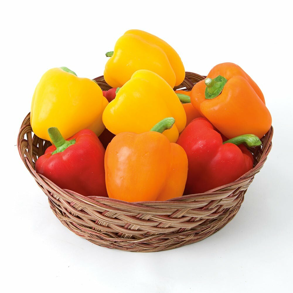 40 Bell Pepper Seeds NON-GMO, Mixed Colors, Fresh Garden Snacking-Yummy!
