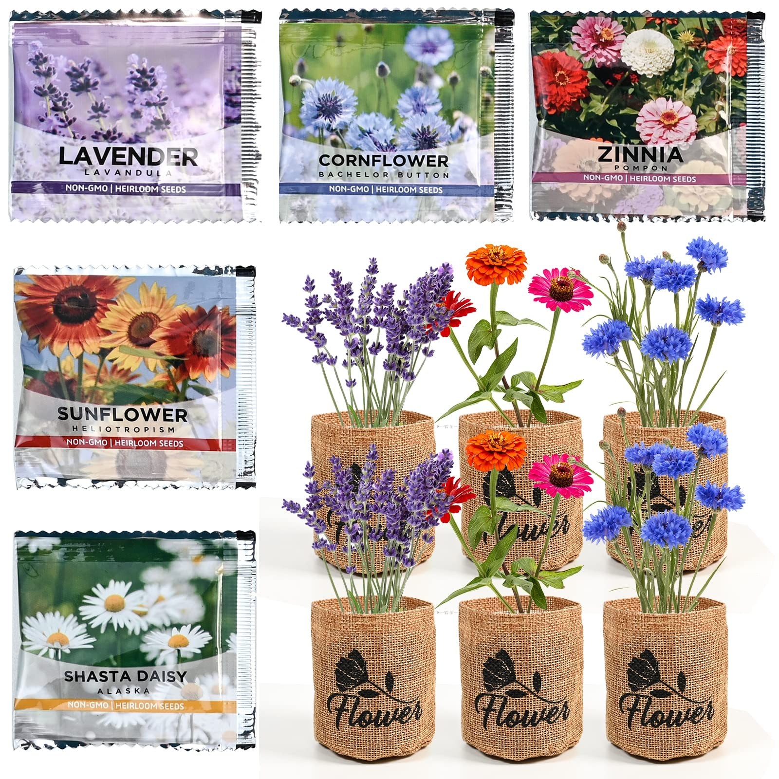 Indoor Daisy Garden Starter Kit with Gardening Tools – Planter Bags, Markers,…