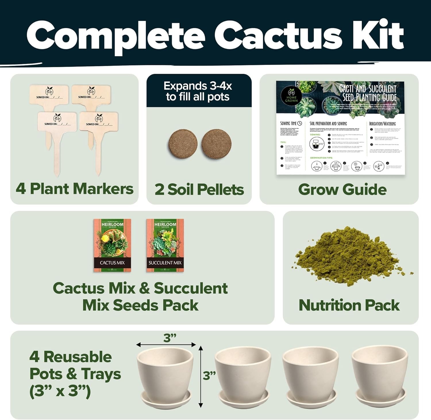 Indoor & Outdoor Cactus & Succulent Starter Kit – All-in-One Gardening