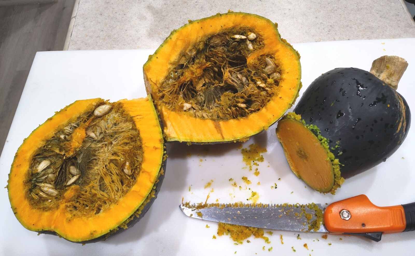 Organic Mexican Black Short Neck Squash 20 Seeds- Calabaza Mexicana, 20 Semillas