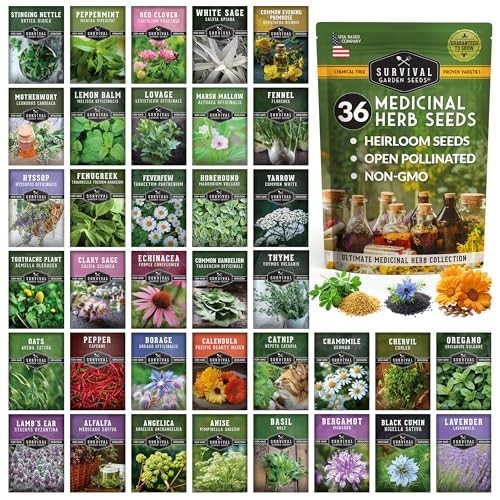 Heirloom Medicinal Herb Seeds Variety Pack – 36 Non-GMO Healing Herbs for Wellne