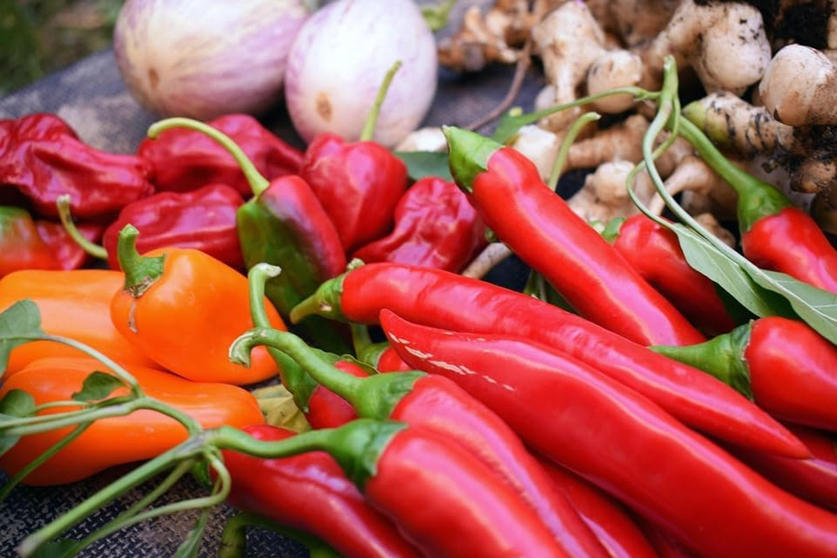 Cayenne Pepper Seeds for Planting, 200 Hot Pepper Seeds Cayenne Jalapeno, Non-Gm