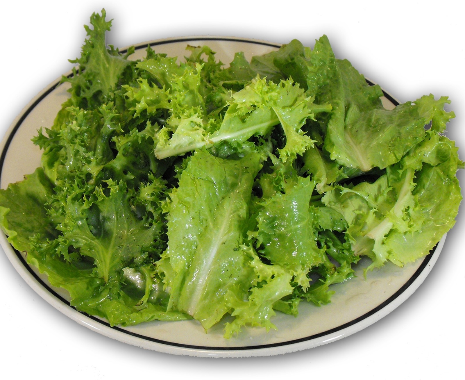 Endive/Escarole (Frisee) Mix- 1,000+ Heirloom Seeds $1.69 combined S/H