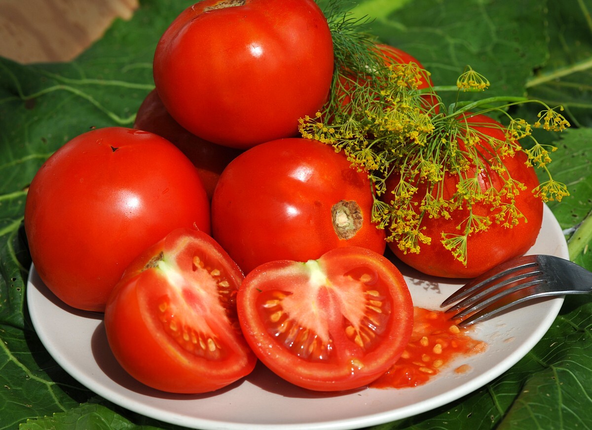 30 SIBERIAN EARLY TOMATO Seeds