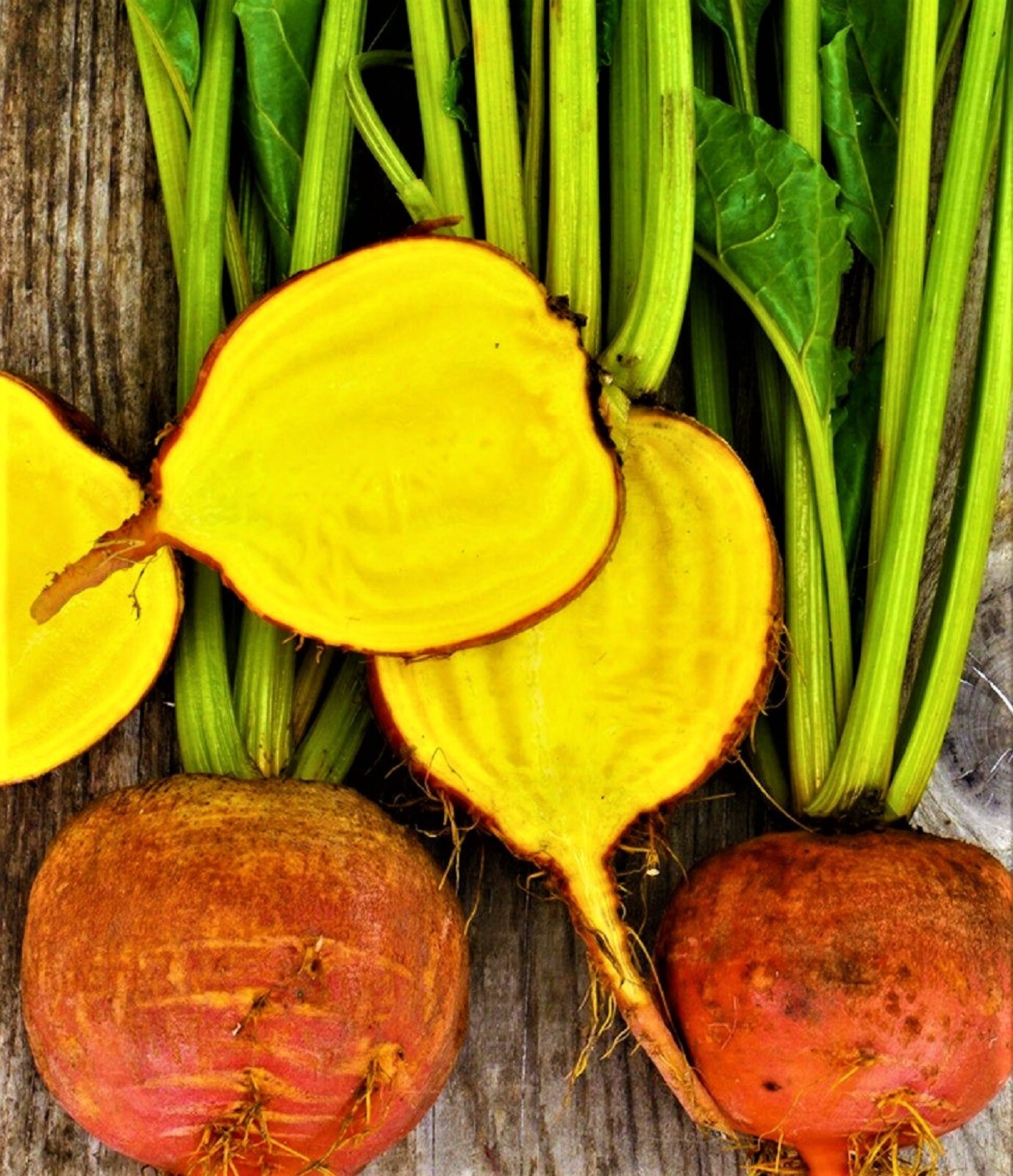 Golden Detroit Beets 50+ Seeds NON-GMO BUY 4 GET FREE SHIPPING