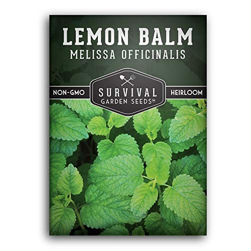 Lemon Balm Seeds for Planting – Melissa Officinalis Herb for Tea and 1