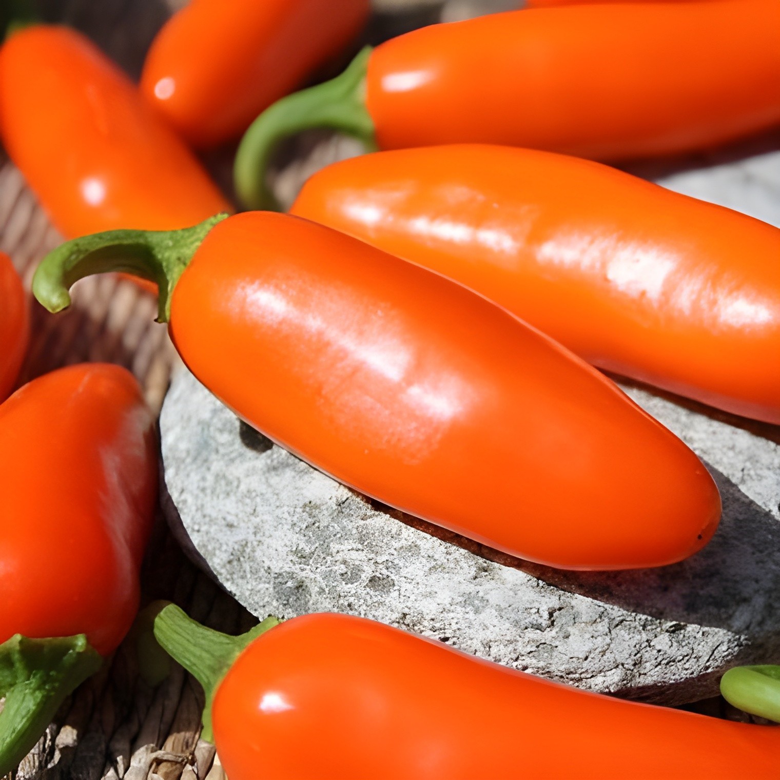 40 Rare NuMex Orange Spice Jalapeño Pepper Seeds – True HOT Orange Jalapeño