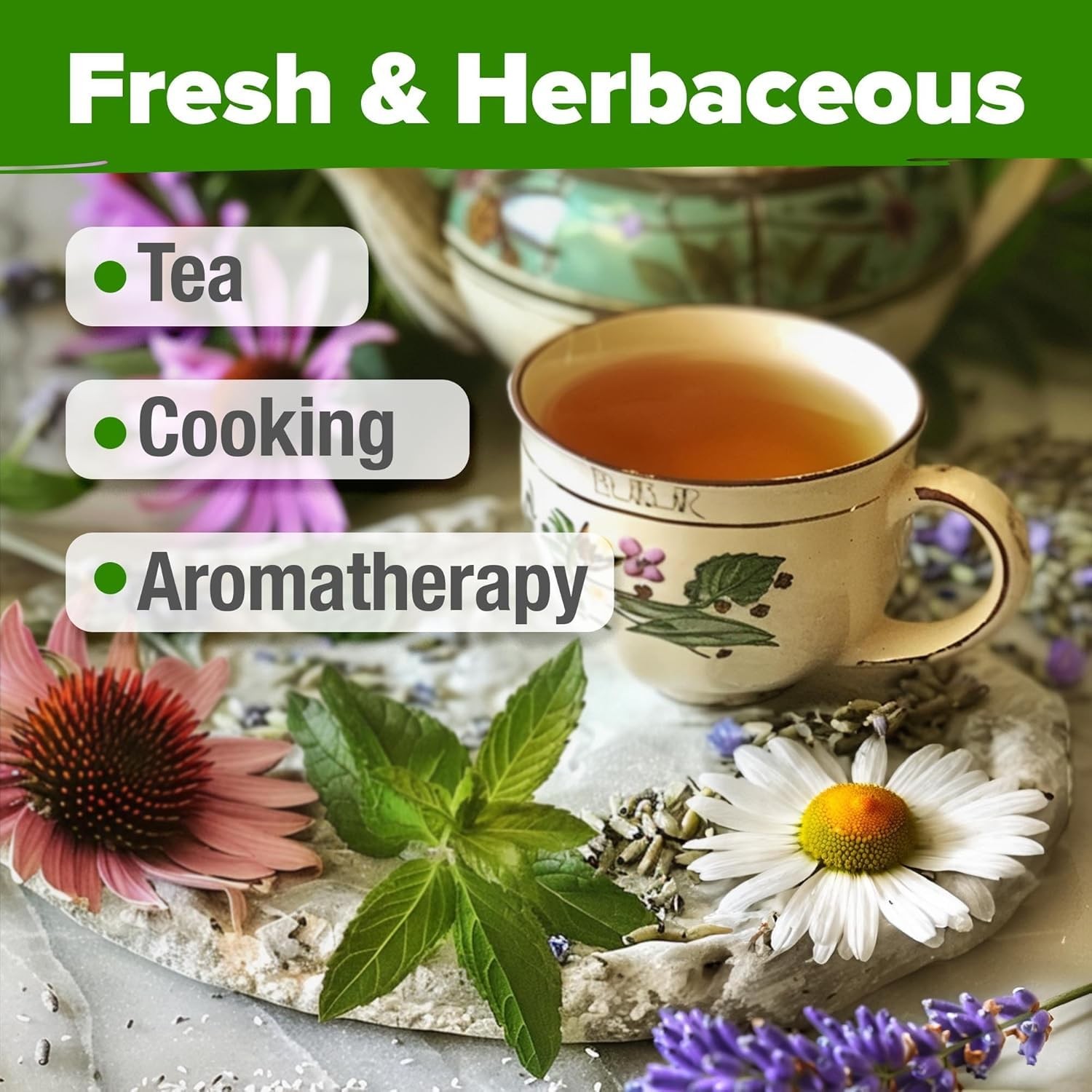 Medicinal Herb Seeds Vault – 2000+ Seeds, 6 Non-GMO Varieties, 90% Germination