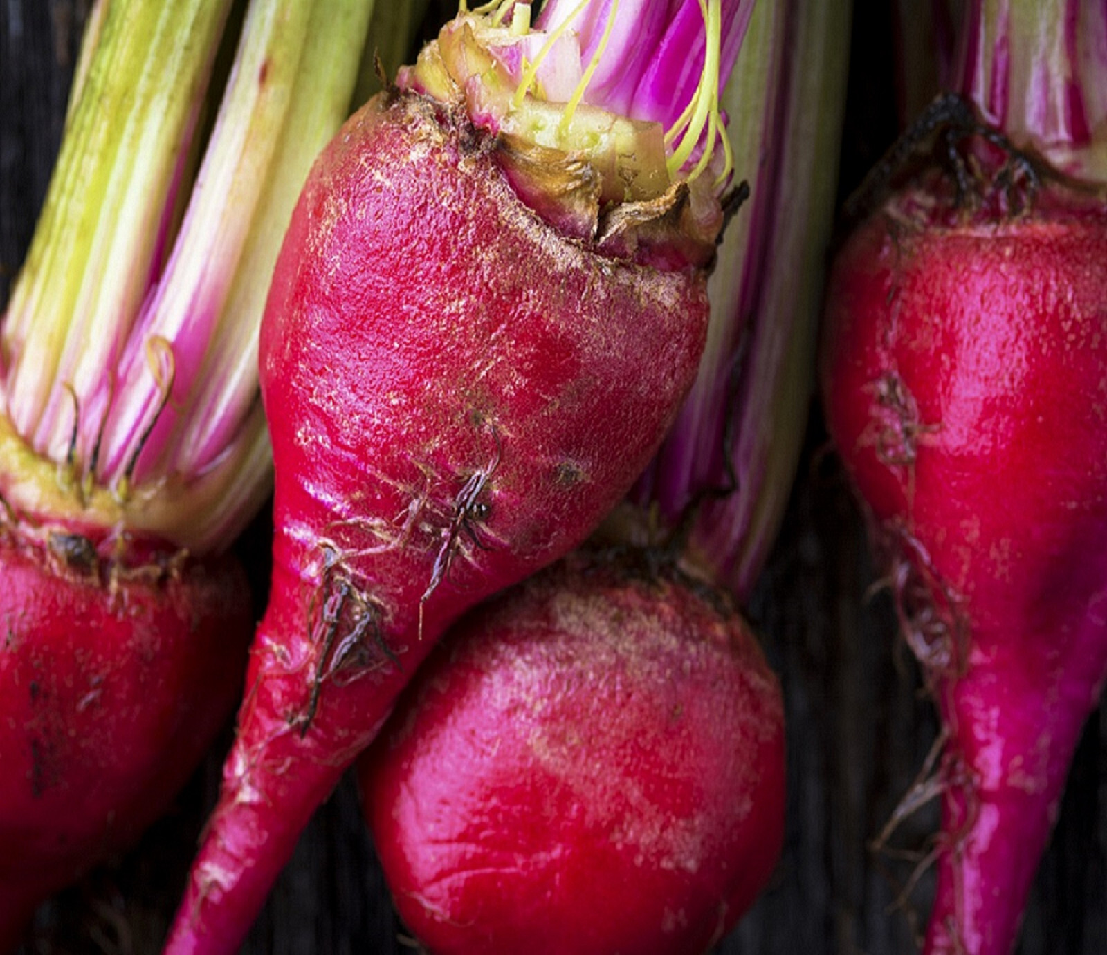 Bull’s Blood Beet Seeds | Heirloom | Non-GMO | Fresh Vegetable Seeds