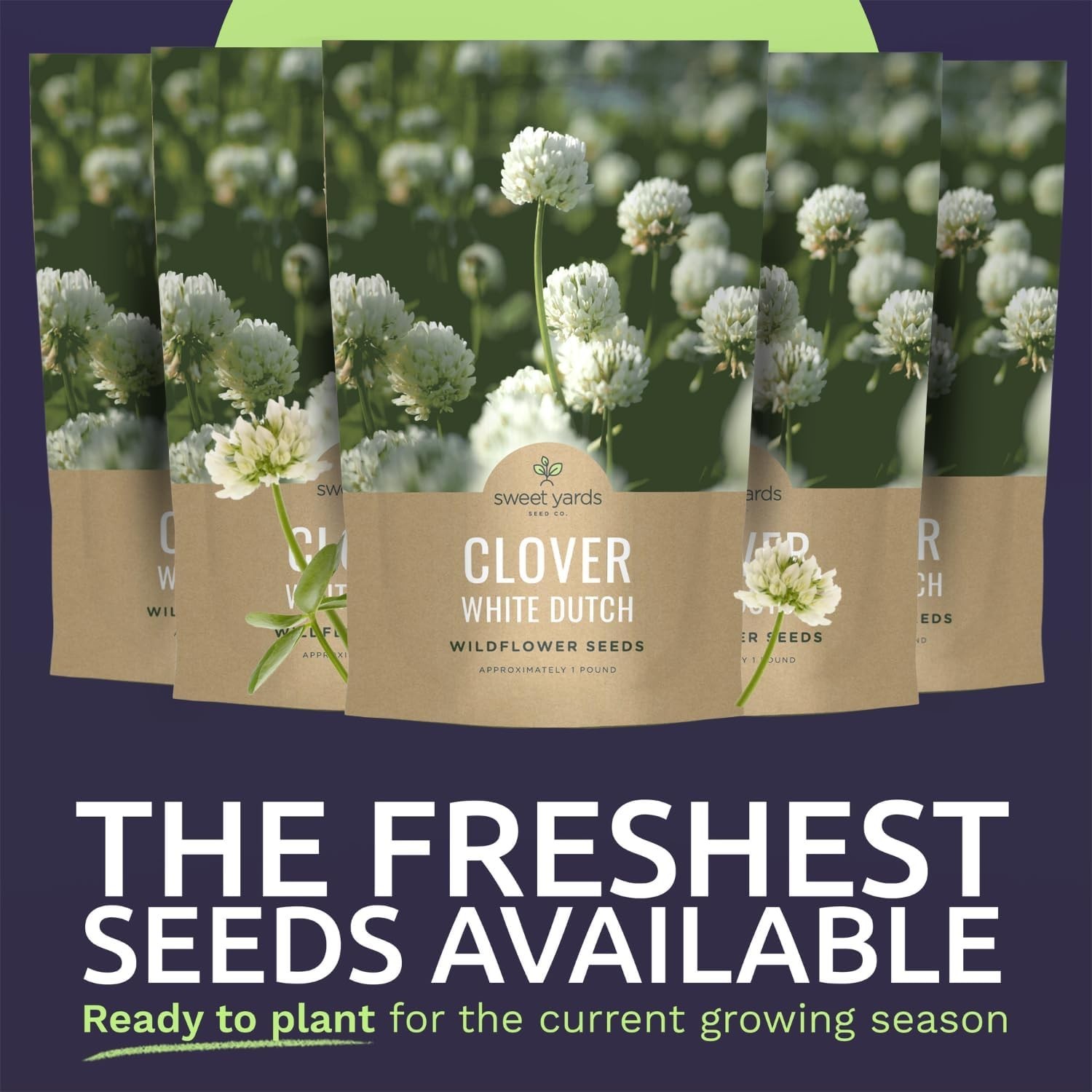 Effortless Gardening with 5 Pounds of White Dutch Clover – Erosion Control Seeds