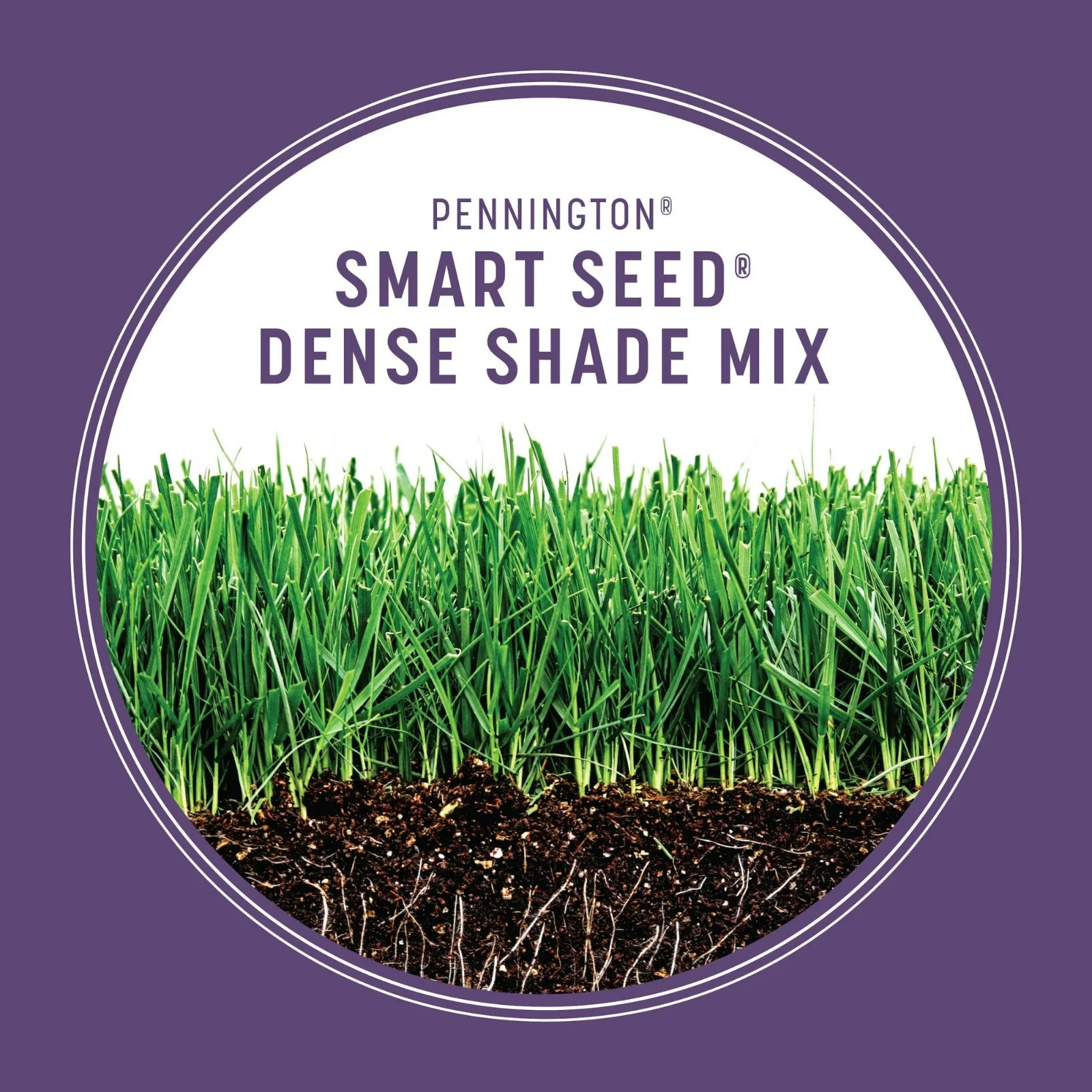 (2 Pack) Pennington Smart Seed Dense Shade Fescue Grass Mix 7 lb Bags 14lb Total